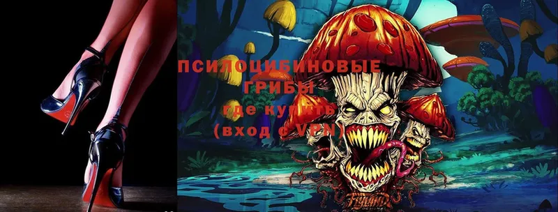 Галлюциногенные грибы MAGIC MUSHROOMS  Воркута 